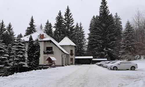 Vila Daria om vinteren