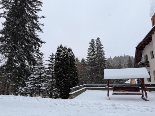 Vila Daria om vinteren