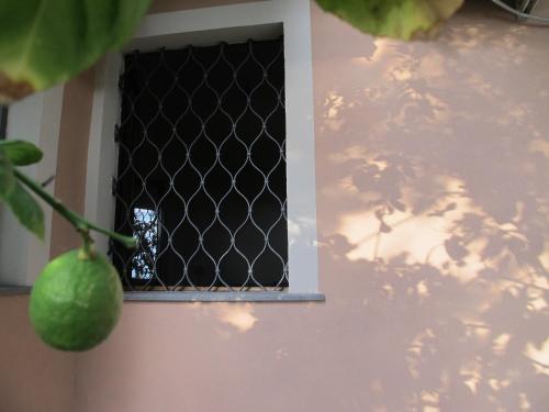 Φωτογραφία από το άλμπουμ του Casa Amaryllis σε Mascalucia