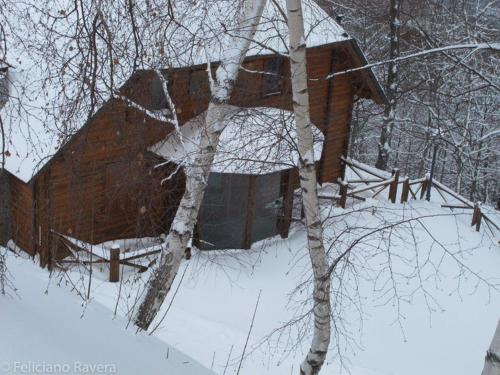 a building in the snow next to a tree at Albergo Genzianella in Careggine