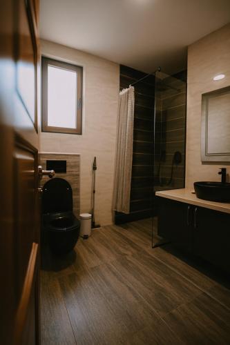 a bathroom with a toilet and a sink and a shower at Orahovo stone vilas in Virpazar
