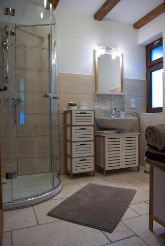 a bathroom with a shower and a sink at Haus Waldfrieden in Kurort Altenberg
