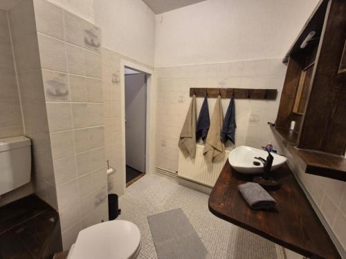 een badkamer met een witte wastafel en een toilet bij Brummers Ferienwohnung in Wildemann