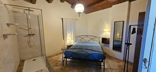 a bedroom with a shower and a bed in a room at Villa Colli in Picciano