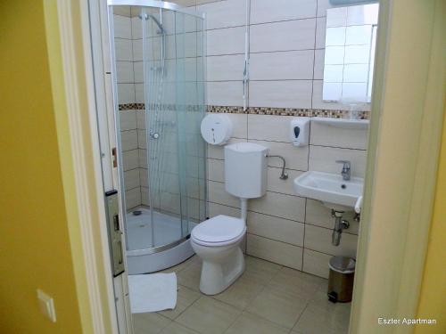 a bathroom with a toilet and a shower and a sink at Eszter Apartman in Békéscsaba
