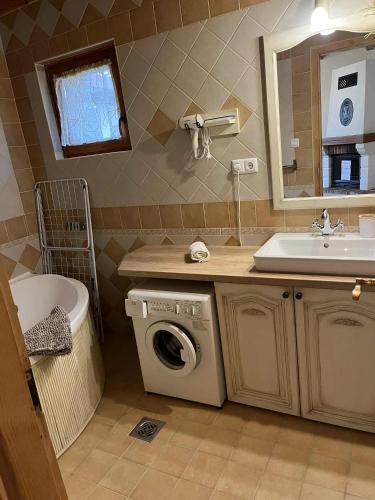 a bathroom with a washing machine and a sink at Tölgyfa Apartman in Balatonkeresztúr