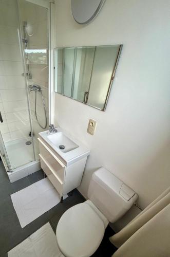 a bathroom with a toilet and a sink and a shower at Studio Ittre in Ittre