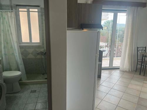 un bagno con wc, doccia e lavandino di Kohyli a Città di Lefkada