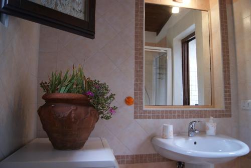 a bathroom with a sink and a vase with a plant at La Baita Baretana in Barete