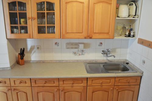 Kuchyň nebo kuchyňský kout v ubytování Guest House Kuks