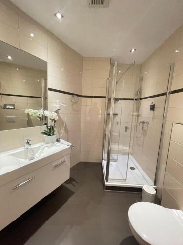 a bathroom with a shower and a sink and a toilet at In Piazza in Bad Klosterlausnitz