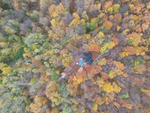 Forest Home 01 by GREEN Croatia