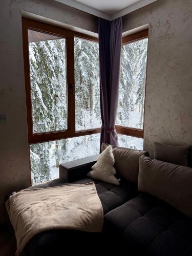 Dream Apart - Iceberg