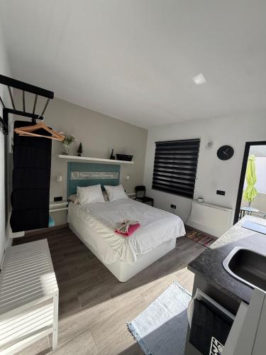 a bedroom with a bed and a sink in it at Loft Mouly in San Sebastián de la Gomera