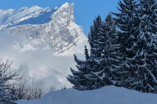 Modern Chalet Near Megève With Somptuous Views om vinteren