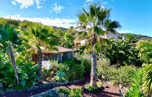 Foto Finca Tenerife - Traumblick, tropischer Garten, viel Platz & Ruhe 4
