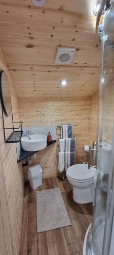a wooden bathroom with a toilet and a sink at Cosy Cabin - Near Belfast International Airport in Aldergrove