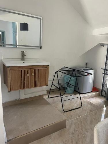 a bathroom with a sink and a mirror at TecTec 2 Appartment 2 at Pereybere in Pereybere