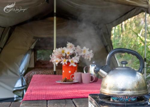 a tea kettle on a table in a tent at WA Wilderness Camping Experience in Pemberton