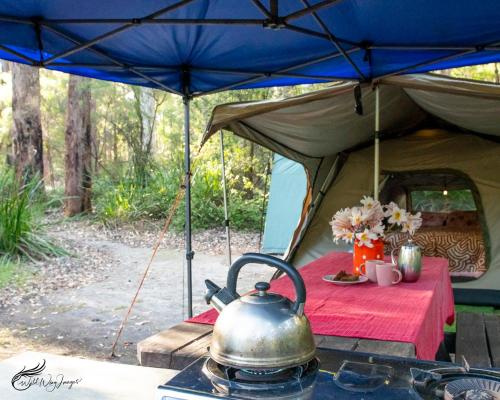 a tea kettle on a stove in front of a tent at WA Wilderness Camping Experience in Pemberton