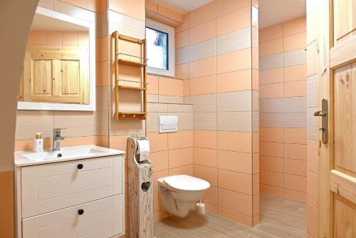 a bathroom with a toilet and a sink at Chalupa U lípy in Horní Bělá