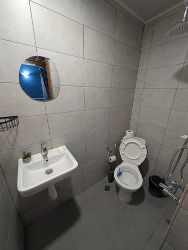 a small bathroom with a toilet and a sink at Old House - Стара Къща in Koprivshtitsa