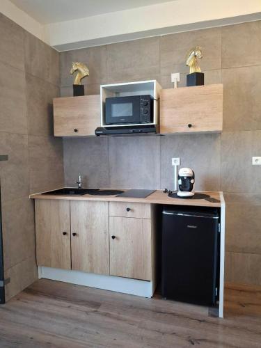 Studio petit cocon في آنوناي: مطبخ مزود بمنضدة بها ميكروويف وحوض غسيل