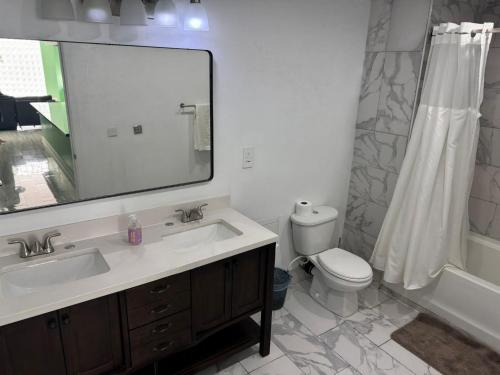 a bathroom with a sink and a toilet and a mirror at Toraille Waterfall Poolside Apartment in Soufrière