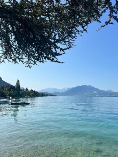 Cocoon in the Heart of Annecy & very close to the Lake
