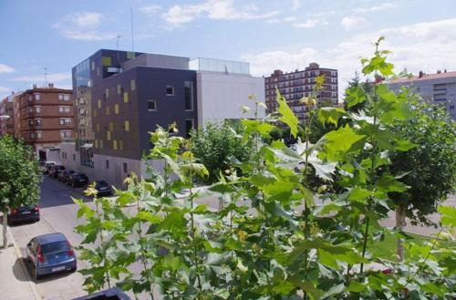 Afbeelding uit fotogalerij van R El Vi in Calahorra