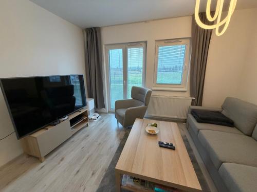 a living room with a couch and a tv and a table at Oáza Living Mohelnice in Mohelnice