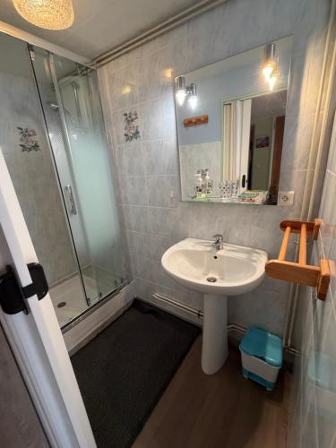 een badkamer met een wastafel en een douche bij Résidence Les Cascades in Le Mont-Dore