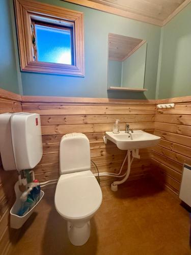 a bathroom with a white toilet and a sink at Kolbackens Camping & Stugby in Åsarne