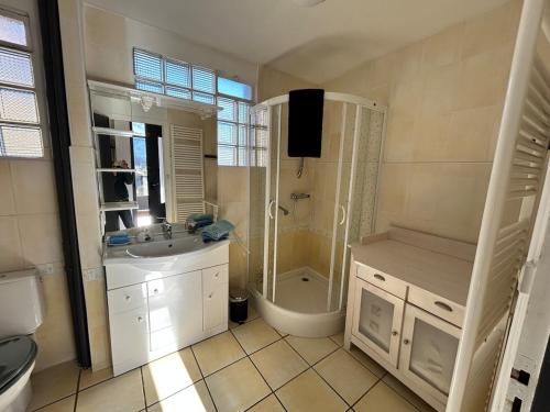 a bathroom with a sink and a shower and a toilet at La maison Bellevue in Antignac
