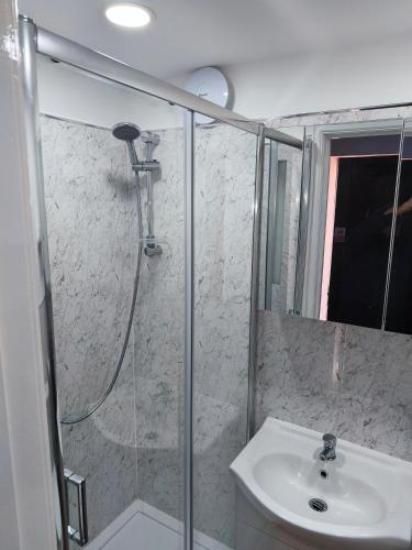 a bathroom with a shower and a sink at Zanders cave in Edwinstowe