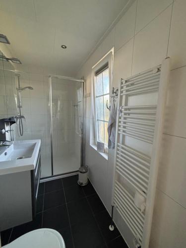 a bathroom with a shower and a toilet and a sink at Ferienhaus Breskens in Breskens