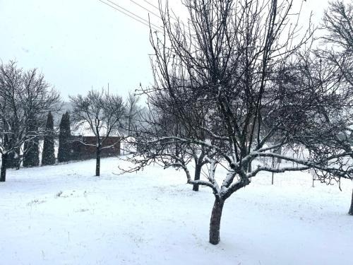 Vikendica Teodor om vinteren