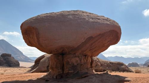 Natuurlandschap vlak bij de bed & breakfast