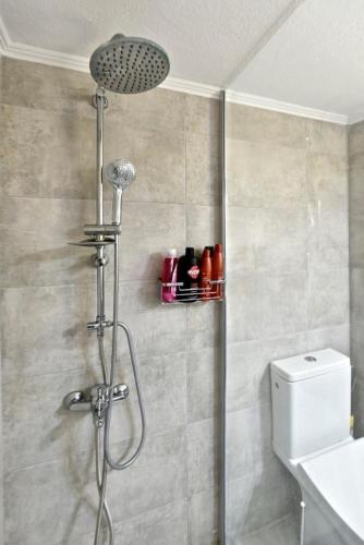 a shower with a shower head in a bathroom at Oikos Apartment in Hanioti