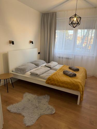 een slaapkamer met een bed, een raam en een tapijt bij Apartament Cichy in Tarnów