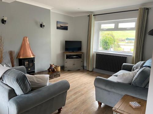 a living room with two couches and a television at Croak Cottage, Frogmore in South Pool