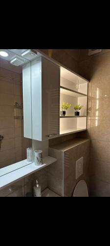 a bathroom with a sink and a mirror and a toilet at Sweet Home Pale in Pale