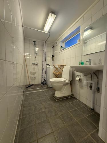 een badkamer met toilet en wastafel bij Kolbackens Camping & Stugby in Åsarna