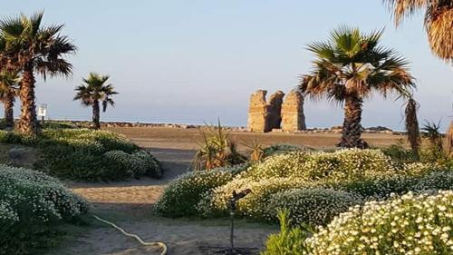 a desert with palm trees and bushes and a building at Villa Elegance in Ladispoli