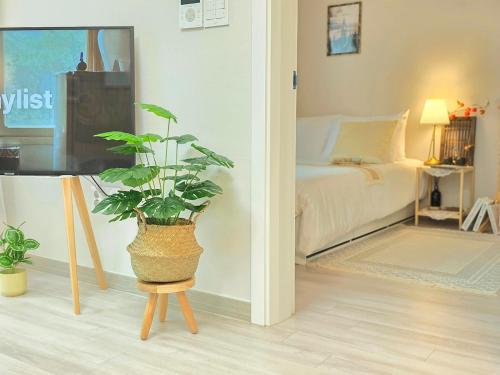 a room with a potted plant sitting on a stool at Soul House in Seoul