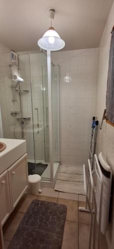 Bel appartement في ساموان: حمام مزود بدُش ومرحاض ومغسلة