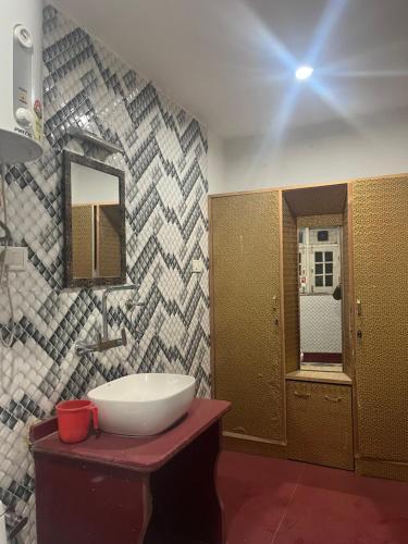 a bathroom with a sink and a mirror at Hotel Apex in Srinagar