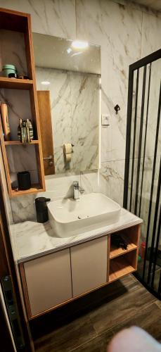 a bathroom with a white sink and a mirror at Suncani breg in Crni Vrh