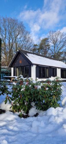 a house with a bush in the snow at HottuB - Wellnesshuisje - Bos - Oudveluwe in Voorthuizen