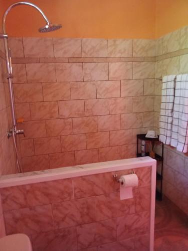 een badkamer met een douche en een toiletrol bij Cassiane apartments in Thibaud